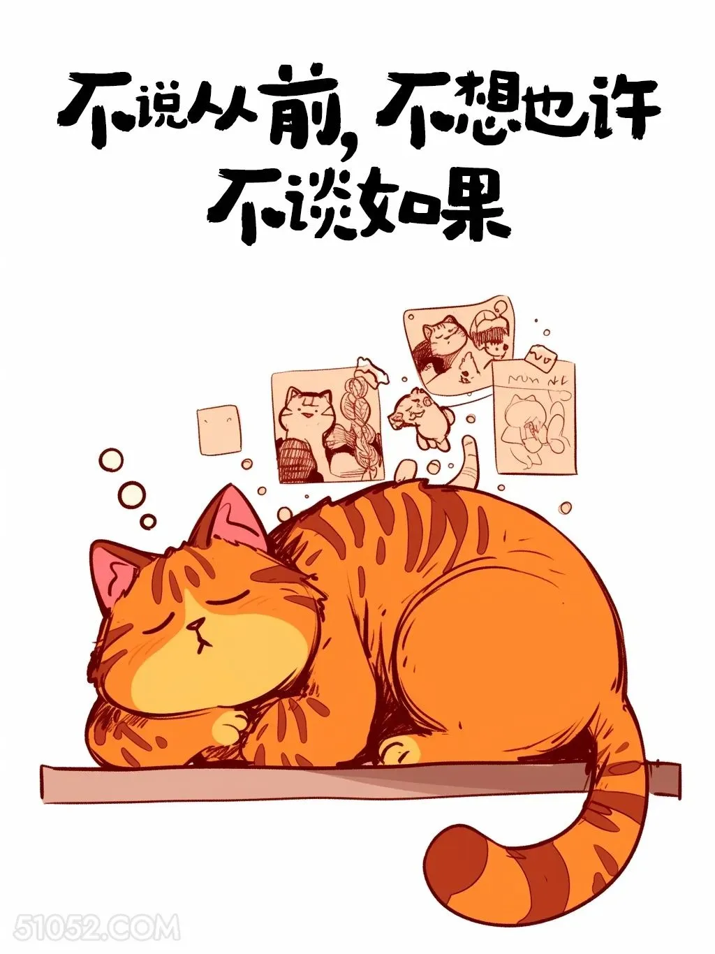 不说从前不想也许不谈如果 猫猫 人间清醒 大女主文案