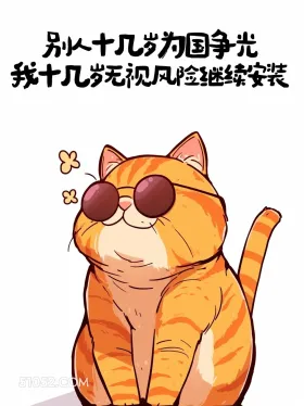 别人十几岁为国争光，我十几岁无视风险继续安装 猫猫 发朋友圈 搞笑文案