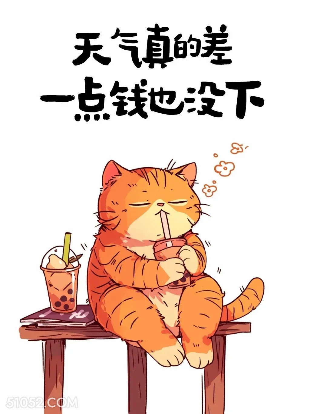 天气真的差， 一点钱都不下 猫猫 发朋友圈 搞笑文案