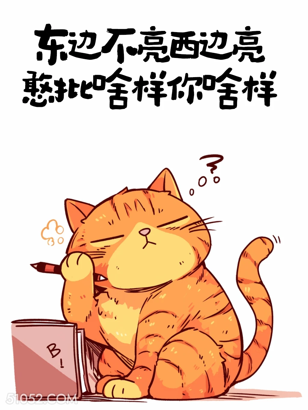 憨批啥样你啥样 猫猫 怼人 搞笑文案