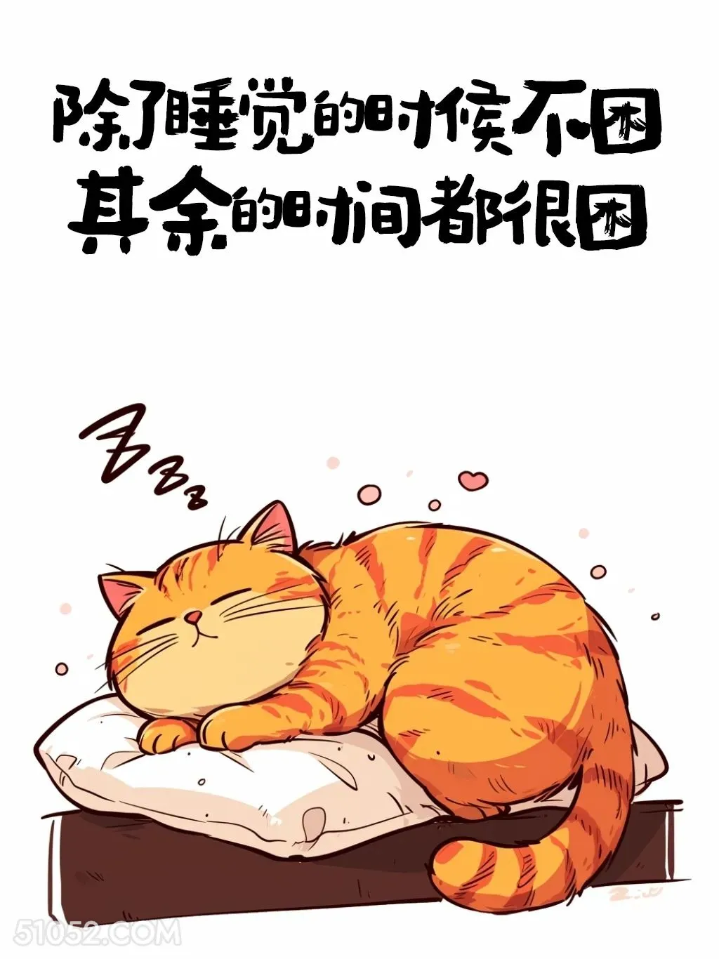 除了睡觉时不困，其余时间都很困 猫猫 发朋友圈 搞笑文案