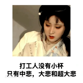 打工人没有小杯，只有中悲、大悲、超大悲 红楼梦 影视追剧 搞笑表情 林黛玉 打工人