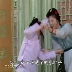 你这个坏透了的小蹄子 红楼梦 影视追剧 搞笑表情 林黛玉