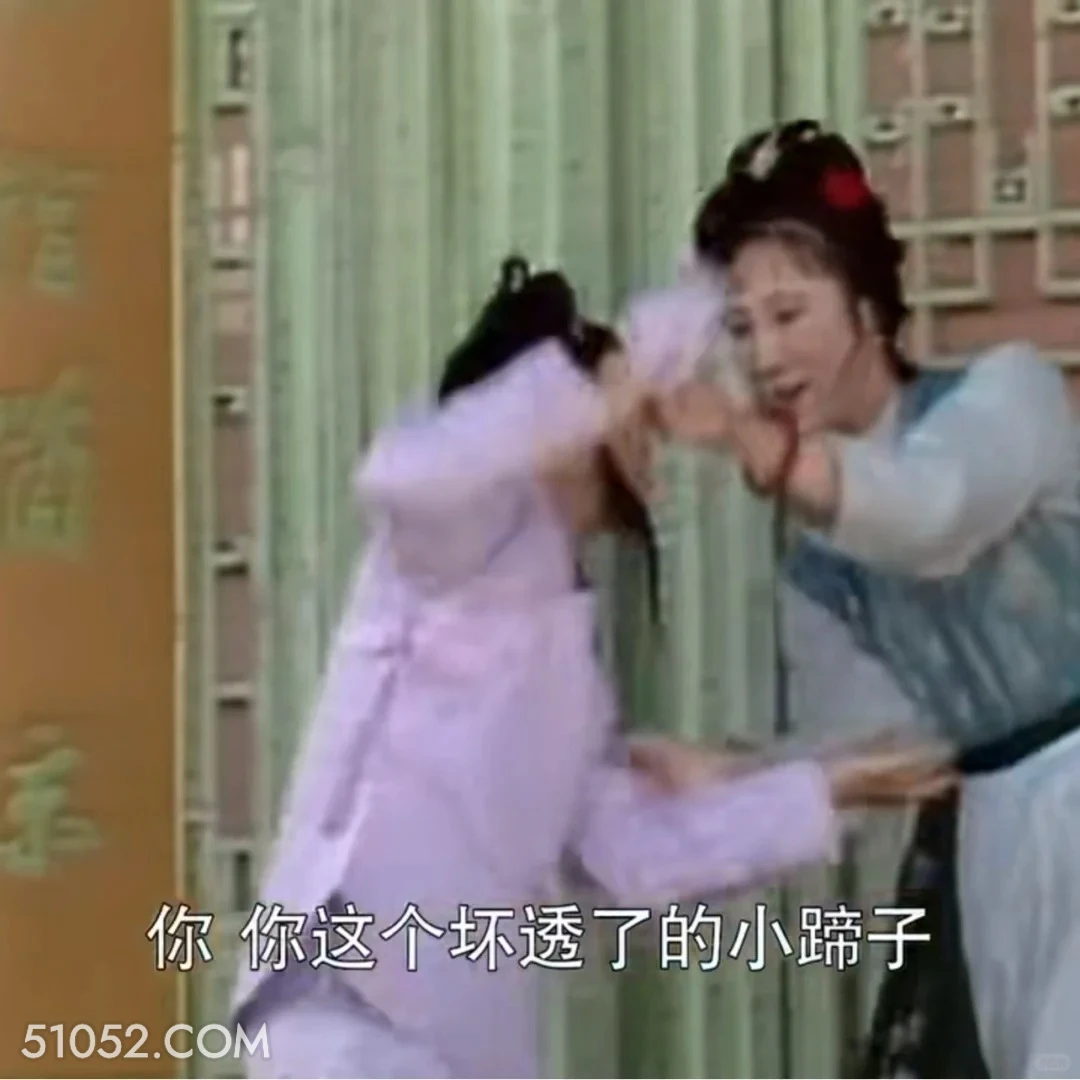 你这个坏透了的小蹄子 红楼梦 影视追剧 搞笑表情 林黛玉