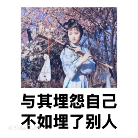 与其埋怨自己，不如埋了被人 红楼梦 影视追剧 搞笑表情 林黛玉 打工人