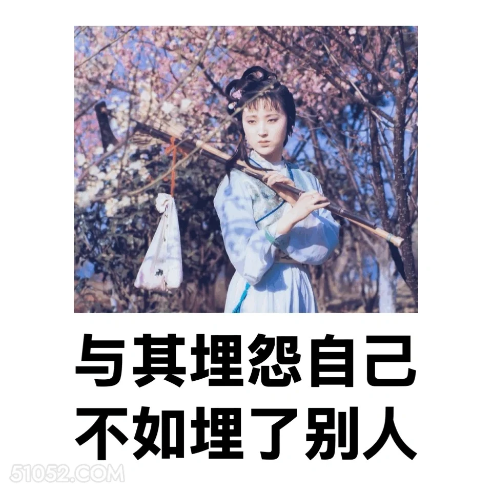 与其埋怨自己，不如埋了被人 红楼梦 影视追剧 搞笑表情 林黛玉 打工人