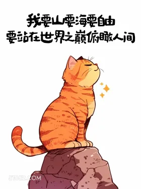 我要山要海要自由 猫猫 人间清醒 大女主文案