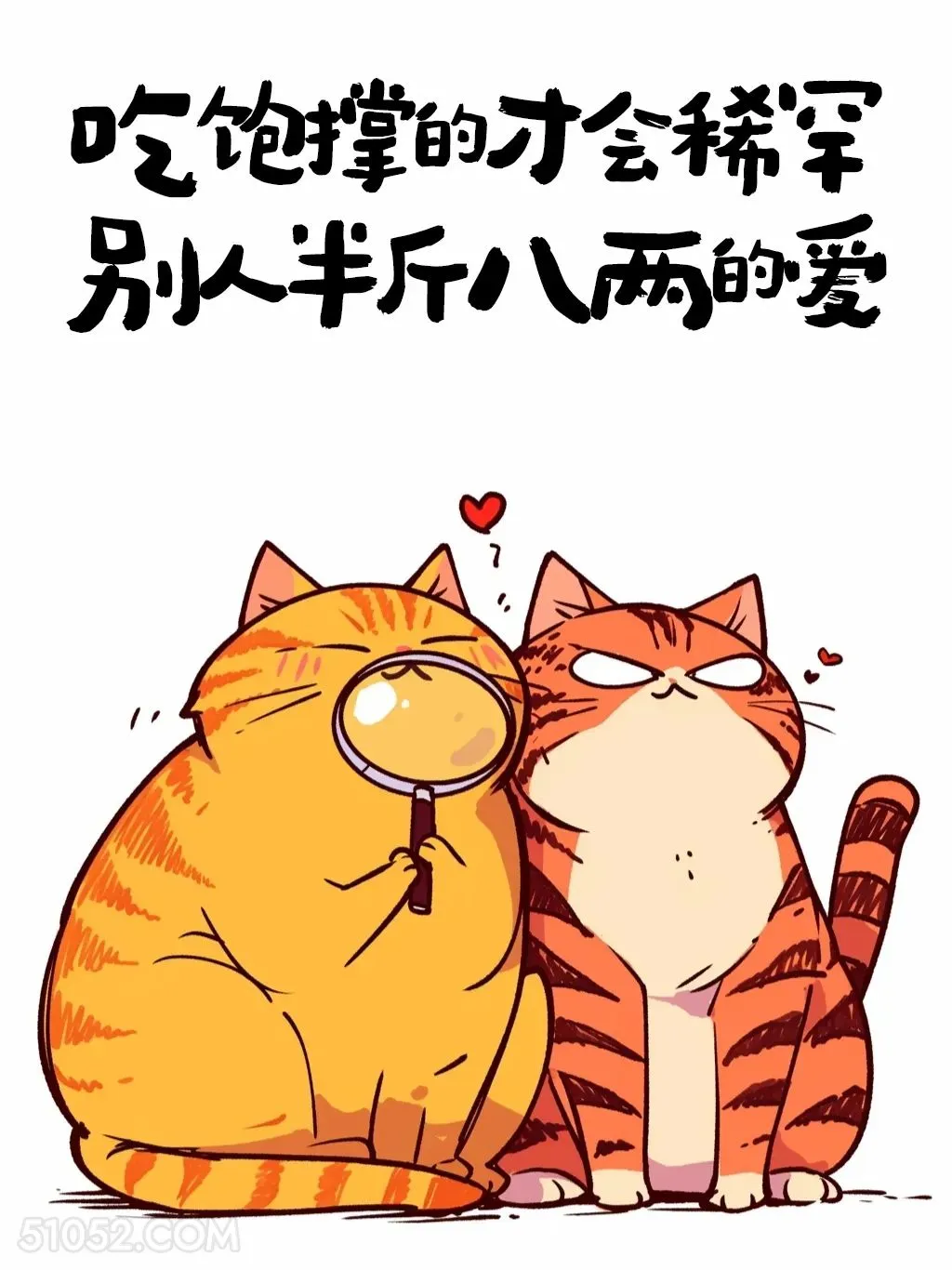 吃饱撑的才会稀罕半斤八两的爱 猫猫 发朋友圈 搞笑文案