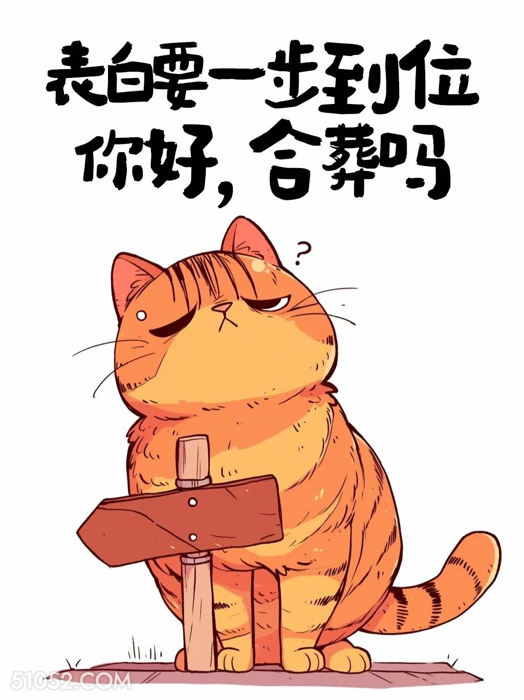 表白要一步到位，你好合葬吗 猫猫 发朋友圈 搞笑文案