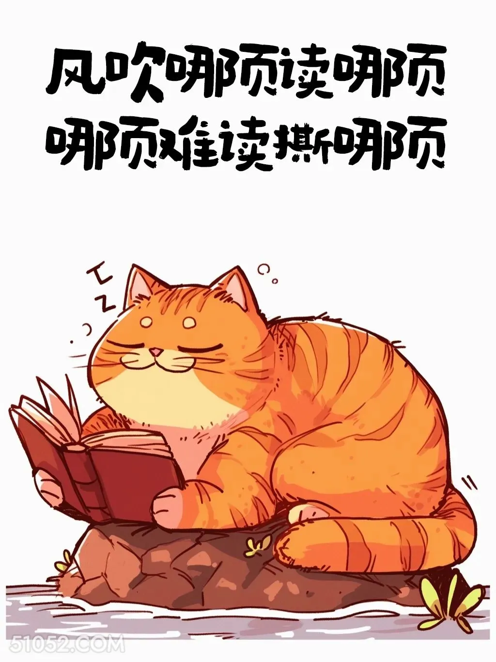 风吹哪页读哪页 猫猫 人间清醒 大女主文案