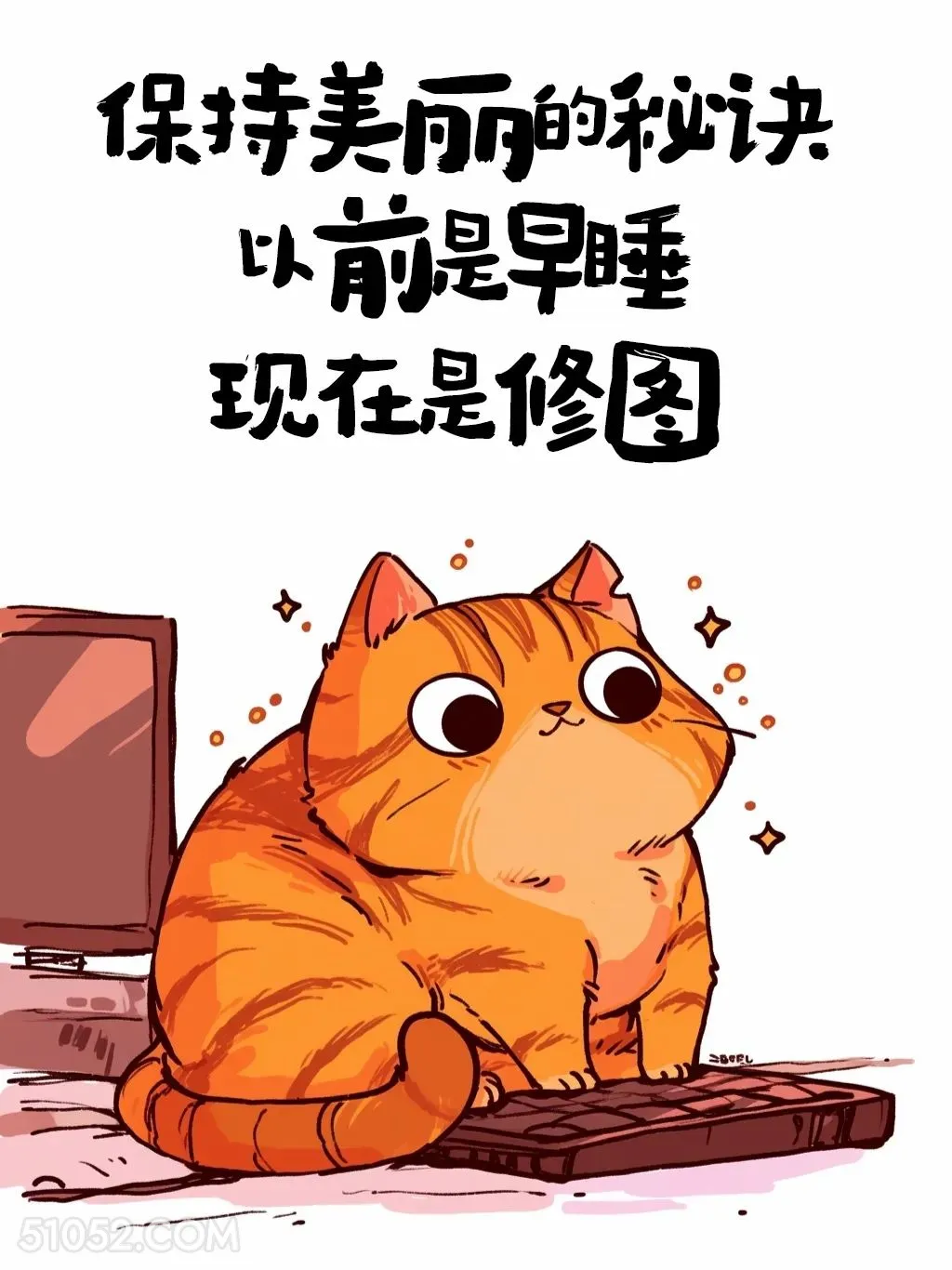 保持美丽的秘诀是修图 猫猫 发朋友圈 搞笑文案