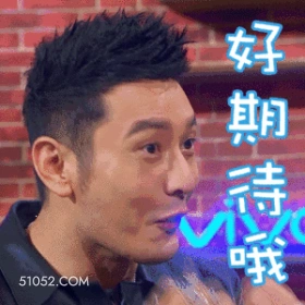 黄晓明---表情包 黄晓明 明星 演员 歌手