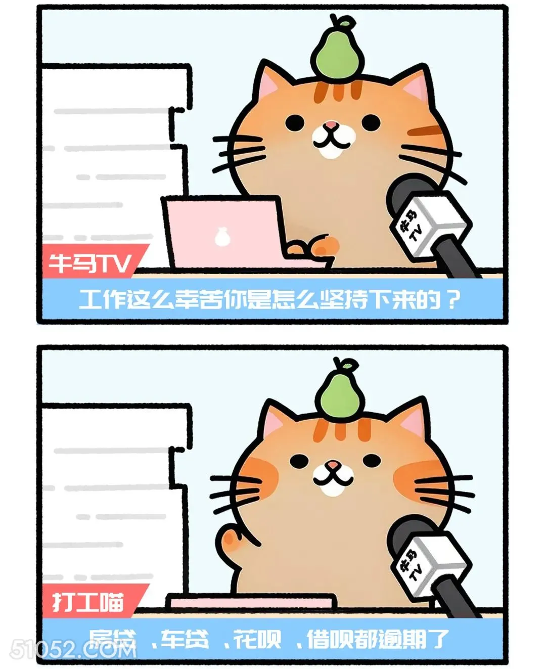 工作这么辛苦怎么坚持？房贷车贷花呗都快逾期 猫猫 神回复 搞笑文案
