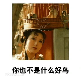 你也不是什么好鸟 红楼梦 影视追剧 搞笑表情 林黛玉 打工人