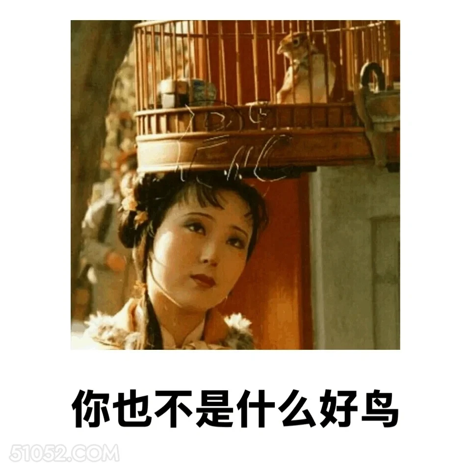 你也不是什么好鸟 红楼梦 影视追剧 搞笑表情 林黛玉 打工人