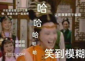 哈哈哈哈 红楼梦 影视追剧 搞笑表情 王熙凤