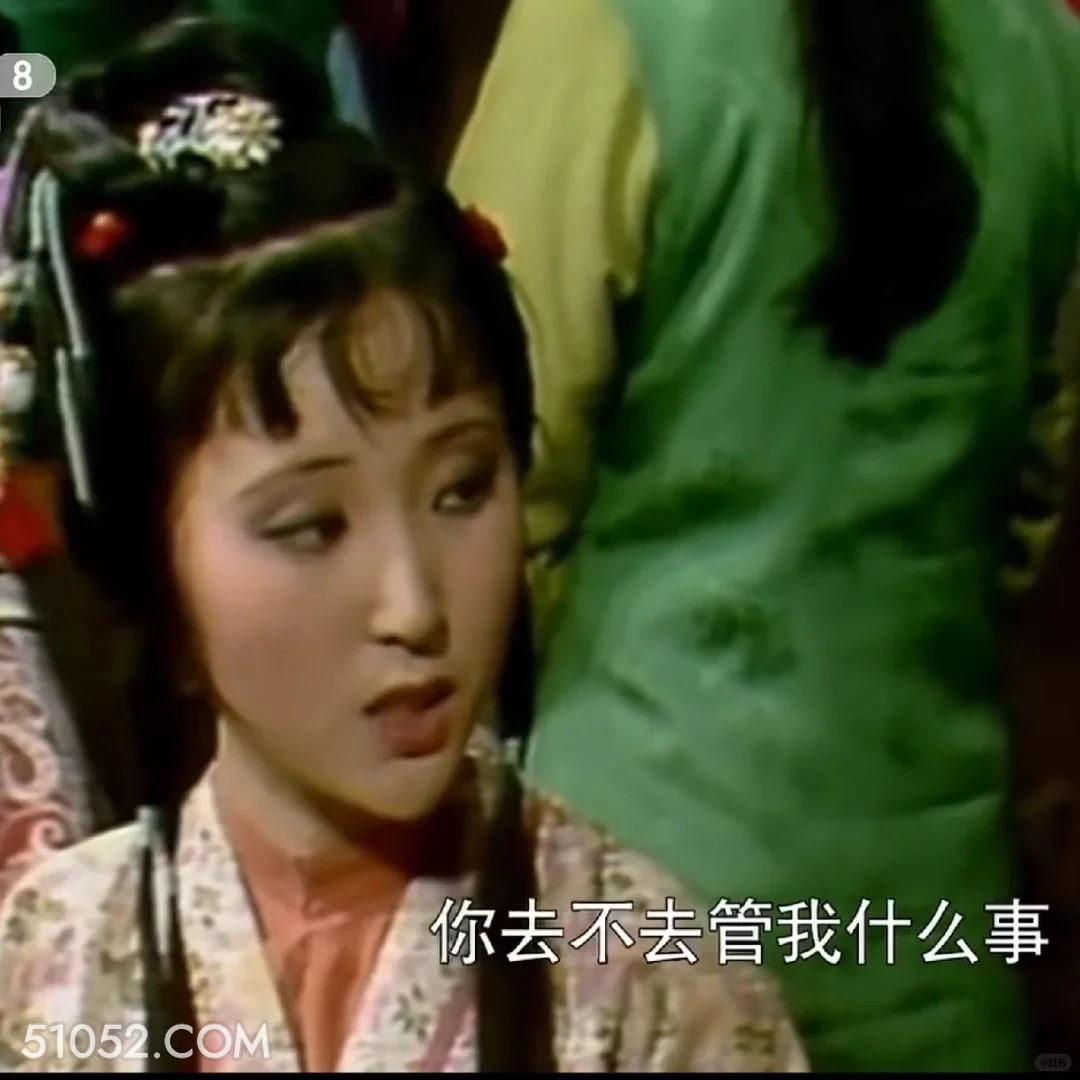 你去不去关我什么事 红楼梦 影视追剧 搞笑表情 王熙凤