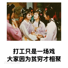 打工只是一场戏，因为贫穷才相聚 红楼梦 影视追剧 搞笑表情 林黛玉 打工人