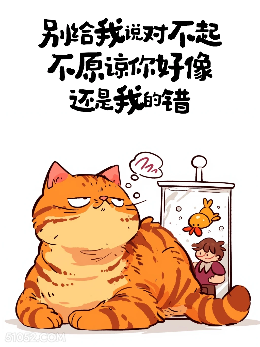 别给我说对不起，不原谅你好像是我的错 猫猫 歪理 搞笑文案