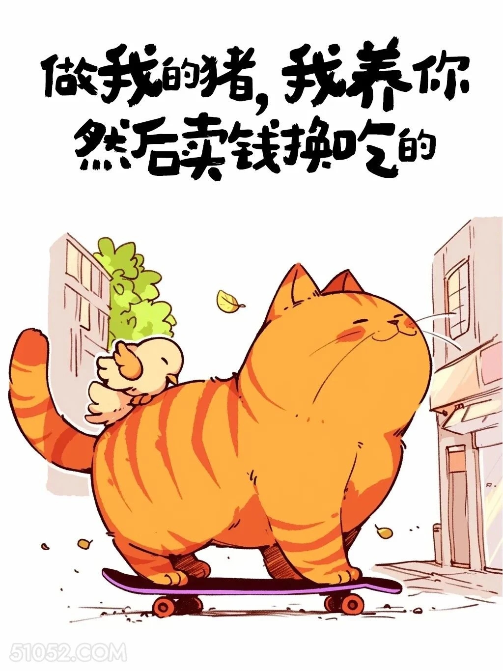 我养你，然后卖你换吃的 猫猫 解压文案 搞笑句子