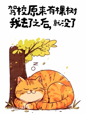 驾校原本有棵树，我去了之后就没了 猫猫 歪理 搞笑文案