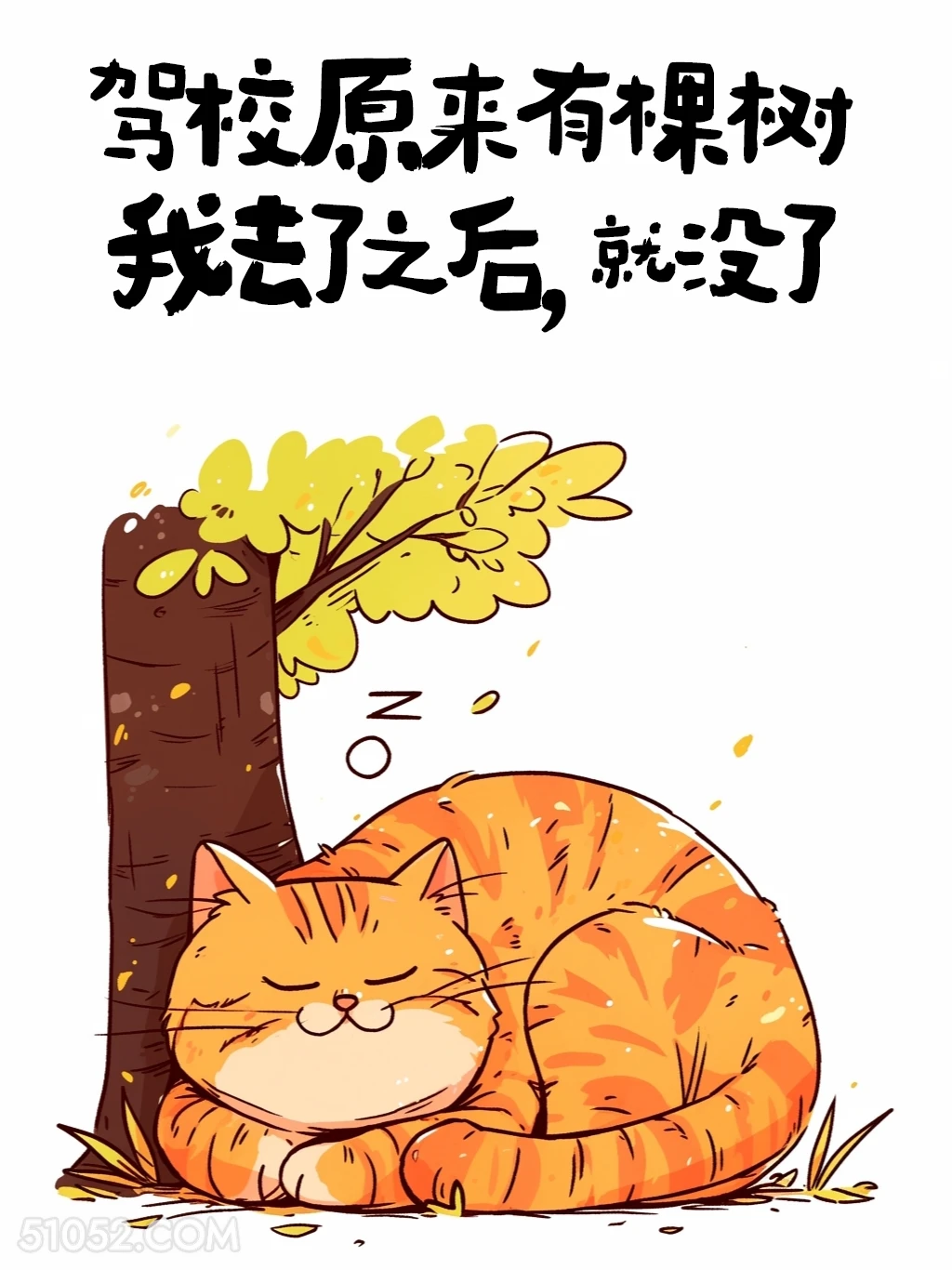 驾校原本有棵树，我去了之后就没了 猫猫 歪理 搞笑文案