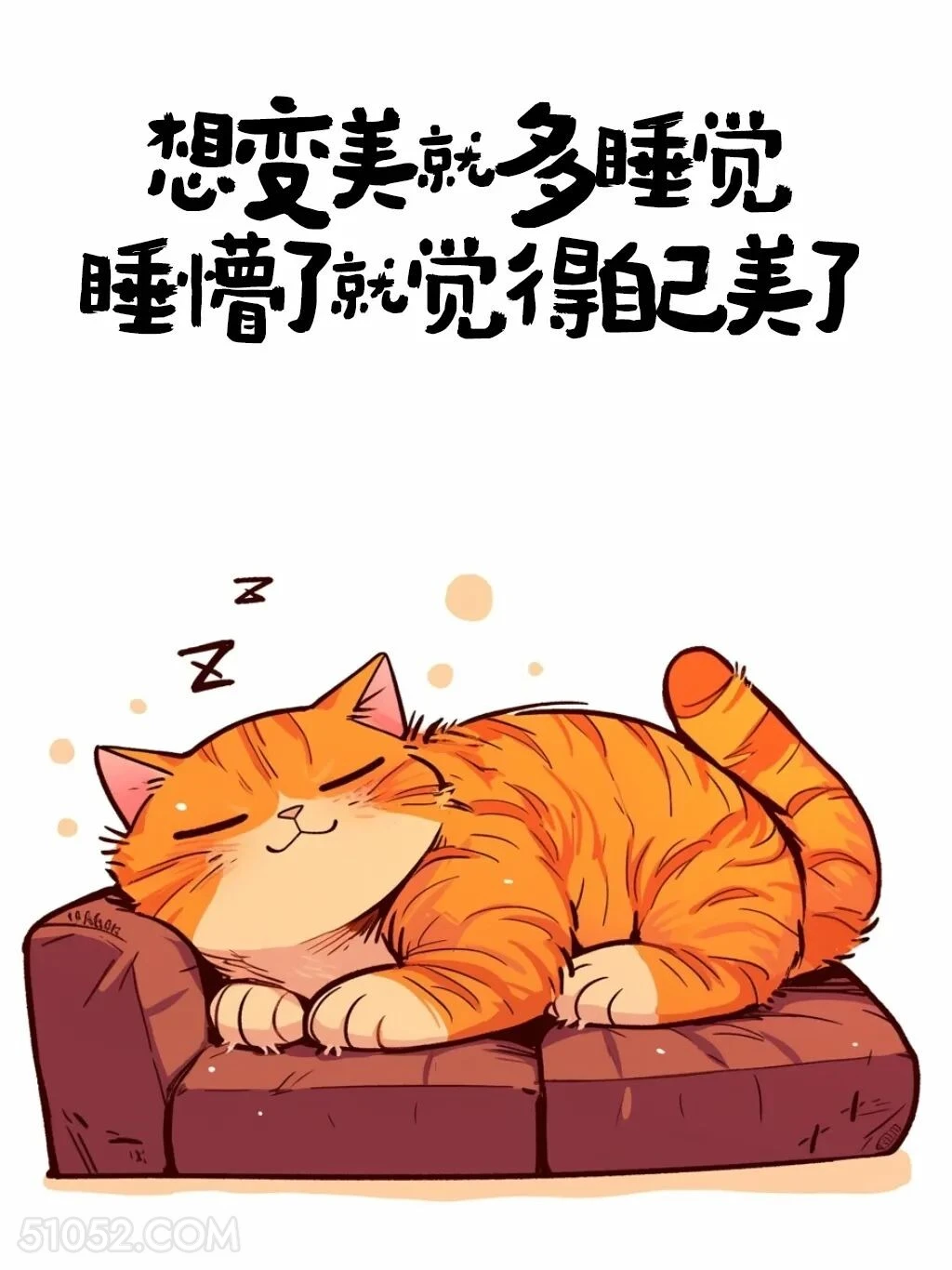 想变美就多睡觉，睡懵了就觉得自己美了 猫猫 解压文案 搞笑句子