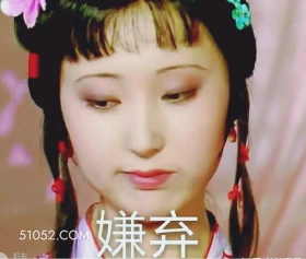 嫌弃 红楼梦 影视追剧 搞笑表情 曹雪芹