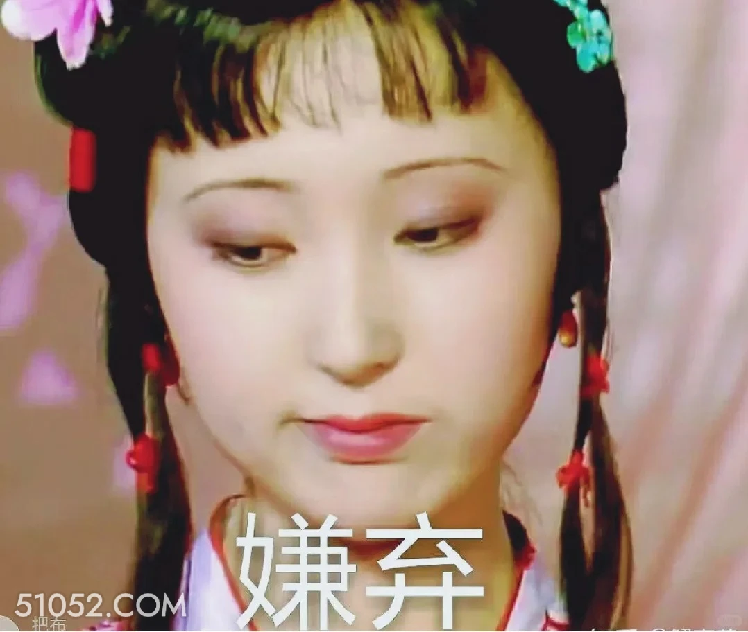 嫌弃 红楼梦 影视追剧 搞笑表情 曹雪芹