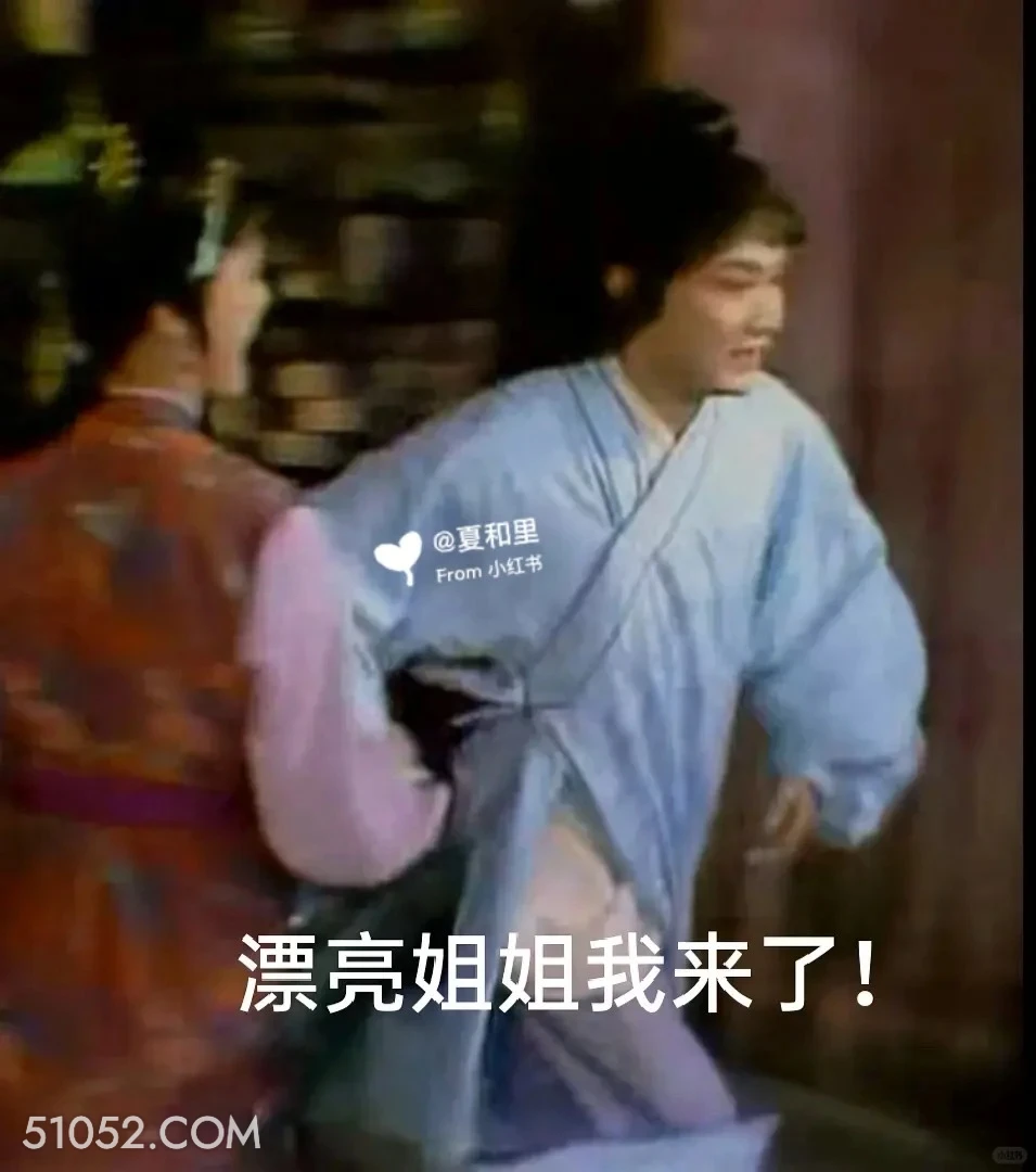 漂亮姐姐我来了 红楼梦 影视追剧 搞笑表情