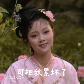 可把我累坏了 红楼梦 影视追剧 搞笑表情 四大名著