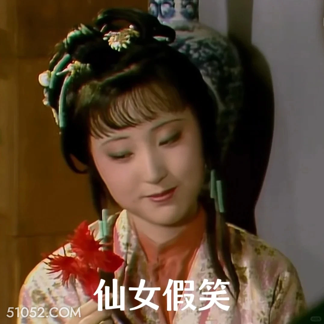仙女假笑 红楼梦 影视追剧 搞笑表情 四大名著