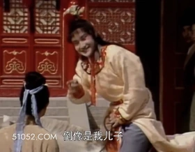 倒像是我儿子 红楼梦 影视追剧 搞笑表情