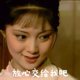 放心交给我吧 红楼梦 影视追剧 搞笑表情 曹雪芹