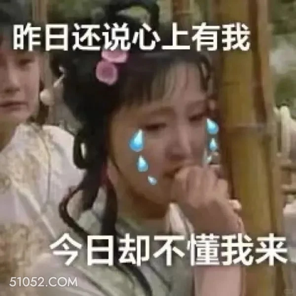 昨日还说心上有我，今日却不懂我 红楼梦 影视追剧 四大名著 曹雪芹 搞笑表情