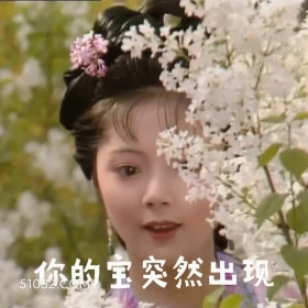 你的宝突然出现 红楼梦 影视追剧 搞笑表情 曹雪芹