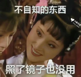 不自知的东西，照了镜子也没用 红楼梦 影视追剧 搞笑表情