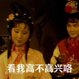 看我高不高兴咯 红楼梦 影视追剧 搞笑表情 四大名著