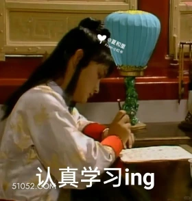 认真学习 红楼梦 影视追剧 搞笑表情