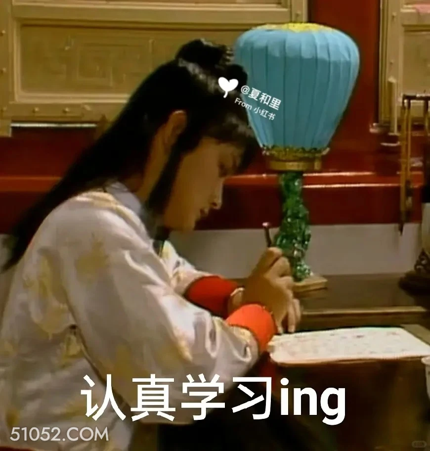 认真学习 红楼梦 影视追剧 搞笑表情