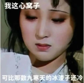 我这心窝子比那九寒天的冰碴子还冷 红楼梦 影视追剧 四大名著 曹雪芹 搞笑表情