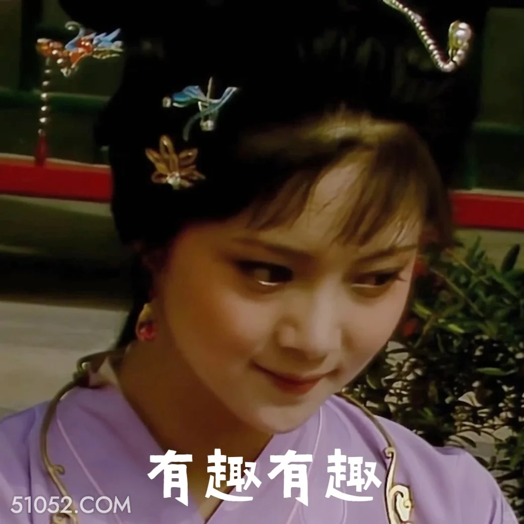 有趣有趣 红楼梦 影视追剧 四大名著 曹雪芹 搞笑表情