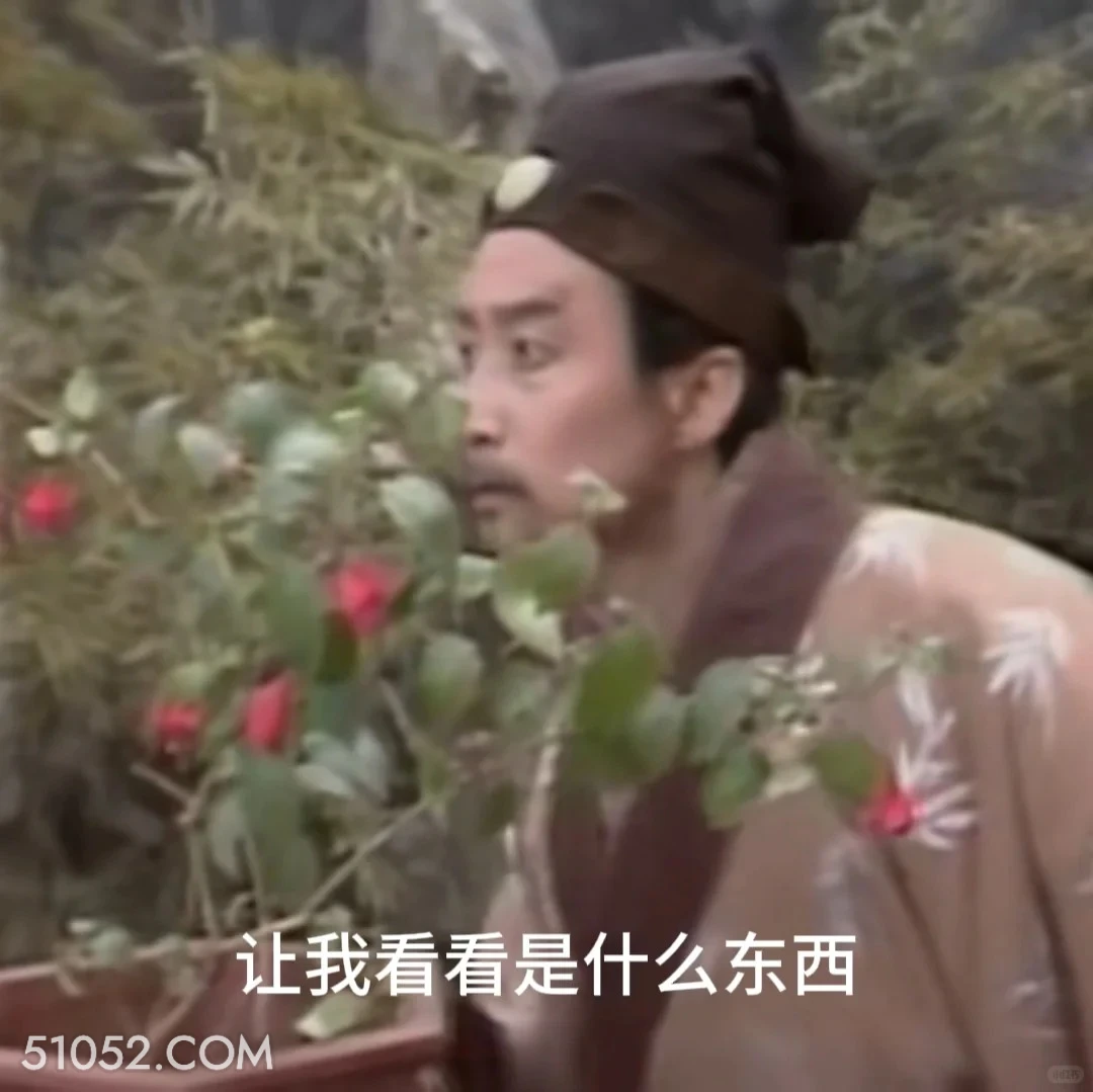 让我看看是什么东西 红楼梦 影视追剧 搞笑表情