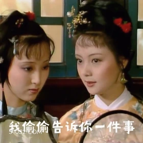 我偷偷告诉你一件事 红楼梦 影视追剧 搞笑表情 曹雪芹