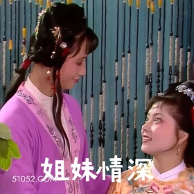 姐妹情深 红楼梦 影视追剧 四大名著 曹雪芹 搞笑表情