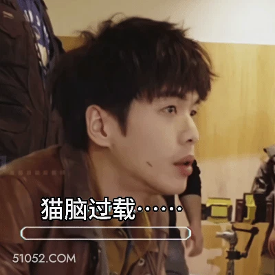 大脑过载 张若昀 明星 演员 懵逼