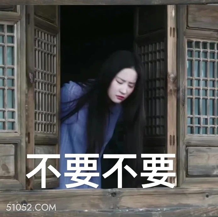 不要不要 去有风的地方 影视追剧 高校表情 刘亦菲