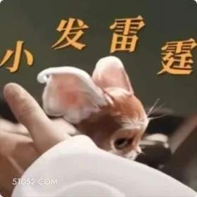 小发雷霆 凡人修仙传 影视追剧 搞笑表情 杨洋