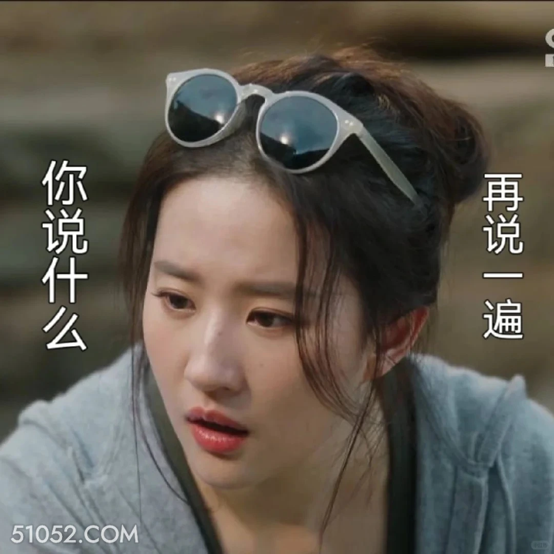 你说什么，再说一遍 去有风的地方 影视追剧 搞笑表情 刘亦菲