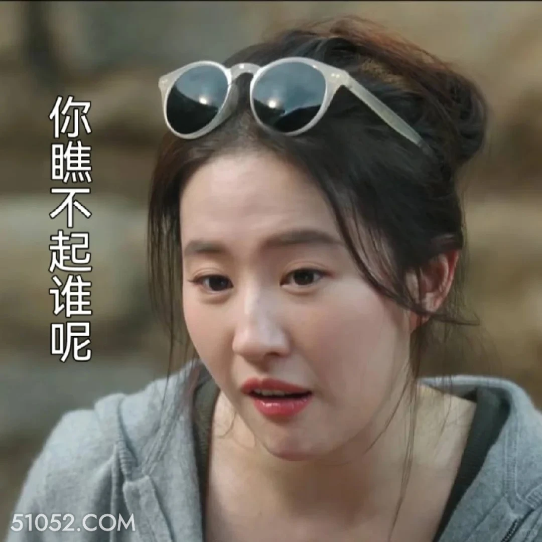 你瞧不起谁呢 去有风的地方 影视追剧 搞笑表情 刘亦菲